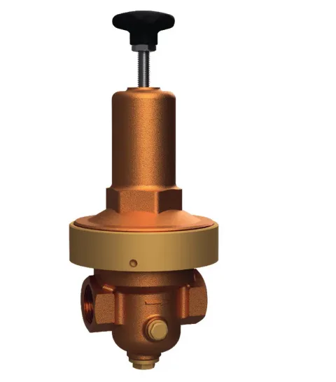 Berluto DRV 250 low-pressure reducing valve, compact