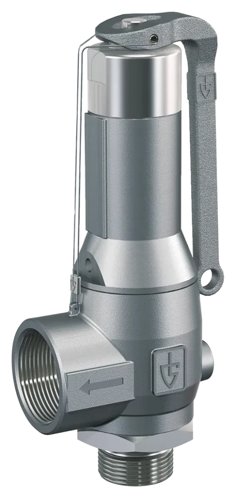 GOETZE 4450 stainless steel diaphragm safety valve with enlarged outlet